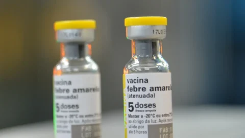 Febre amarela avança em SP com 11º caso confirmado no ano