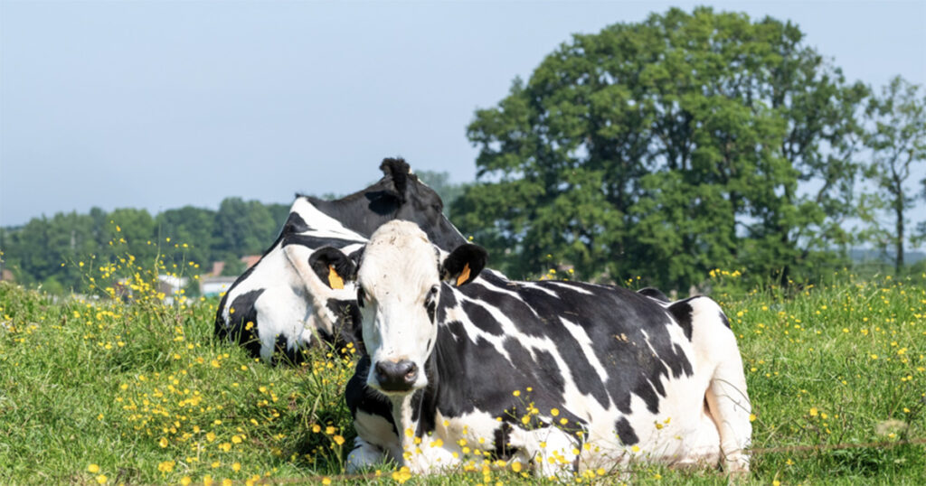 China reconhece status sanitário do agronegócio brasileiro