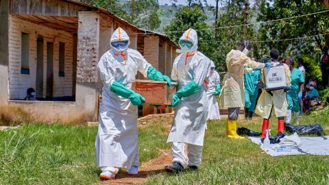 OMS e CDC África mobilizam recursos contra ebola na RDC