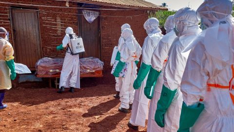 Congo registra 71 novos casos de ebola em 24 horas; total chega a 452