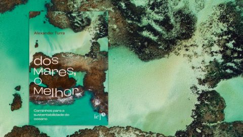Oceanógrafo da USP lança e-book sobre preservação dos mares