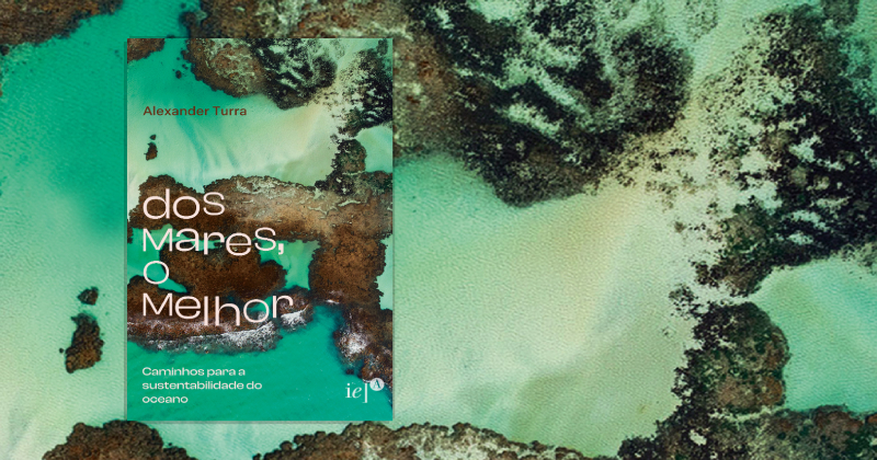 Oceanógrafo da USP lança e-book sobre preservação dos mares