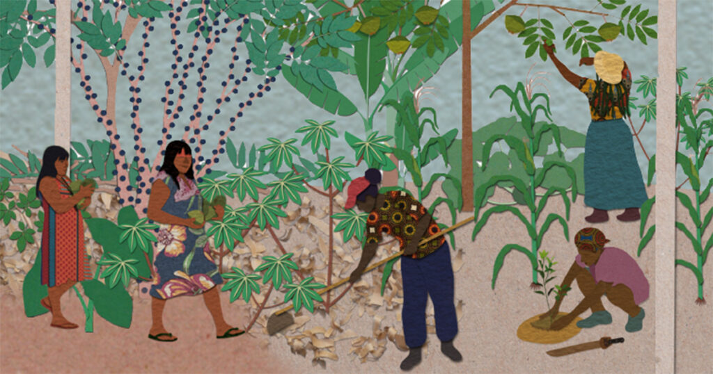 Novo guia mapeia caminhos para políticas de sociobiodiversidade