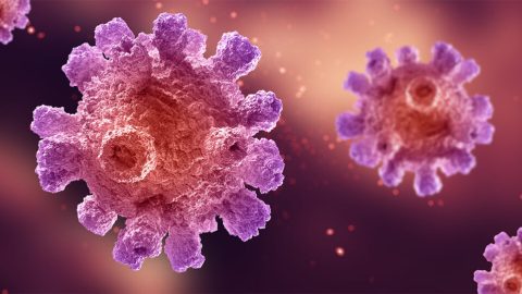 Proteínas do corpo alteram defesa contra fungo perigoso