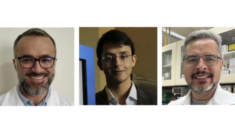 Análise de dados científicos revela panorama da pesquisa brasileira