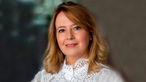 Sustentabilidade demanda governança forte e transformação territorial