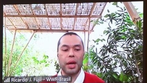 Câmara debate rumos da energia limpa e impasses da transição fóssil