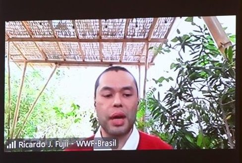 Câmara debate rumos da energia limpa e impasses da transição fóssil
