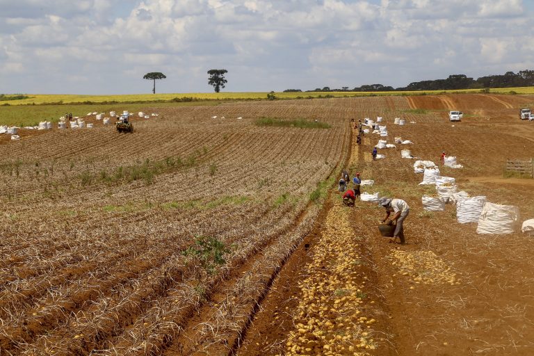 Câmara debate mudanças nas regras para trabalhadores rurais sazonais