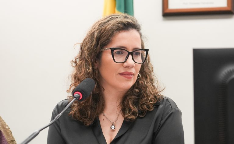 Câmara bloqueia financiamento público para obras que promovam violência contra mulheres
