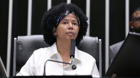 Câmara aprova educação sobre proteção animal nas escolas