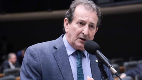 Câmara aprova política de vacinação gratuita para animais contra zoonoses