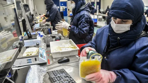 Câmara aprova dispensa de licitação para hemoderivados da Hemobrás
