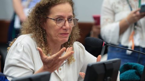 Deputados governistas pleiteiam cooperação com EUA contra crime organizado