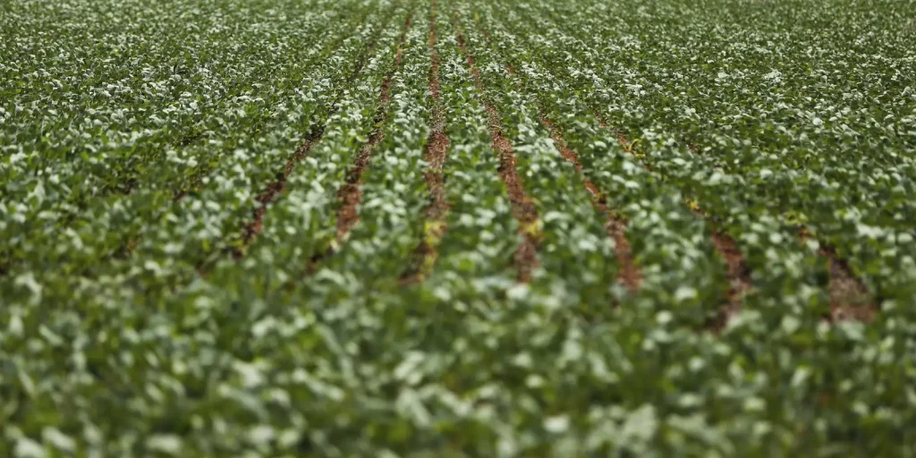 Governo e bancada ruralista travam negociação sobre renegociação de dívidas agrícolas