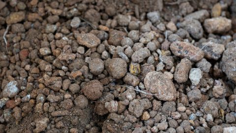 Estudo mapeia caminhos para indústria de terras raras no Brasil