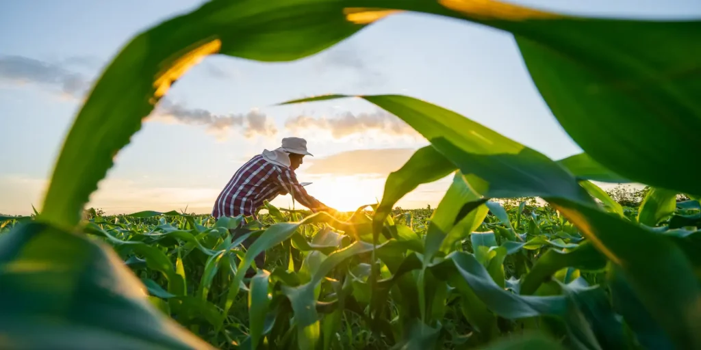 Governo e Congresso pactuam MP para renegociar débitos do setor agrícola