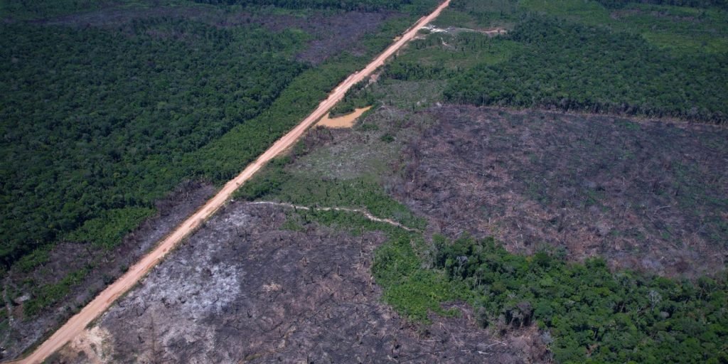 Governo abre quinto leilão para financiar inovação verde
