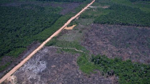 Governo abre quinto leilão para financiar inovação verde