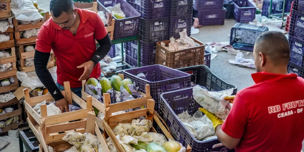 Governo libera R$ 97,3 bi para agricultura familiar na safra 2026/2027