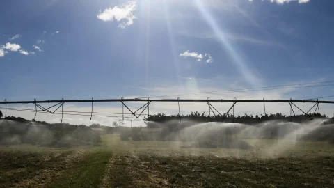 Governo lança programa para renegociar R$ 100 bi em dívidas do campo