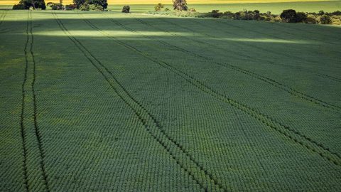 Senado aprova programa para impulsionar produção interna de fertilizantes