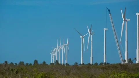 Nordeste busca roteiro para transição à economia sustentável