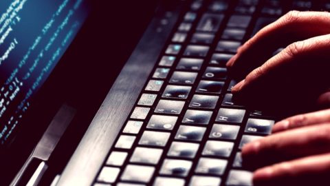 544 anúncios falsos sobre Desenrola Brasil circulam nas redes sociais