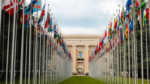 ONU: estrutura, objetivos e desafios da organização internacional