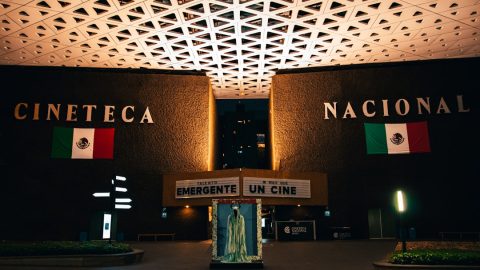 Pesquisa científica brasileira busca consolidação em cenário desafiador