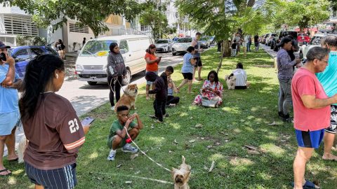 Terremoto de magnitude 7,6 atinge Panamá; canal segue operacional