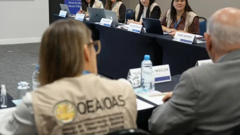 OEA aprova eleição brasileira, mas alerta sobre fake news